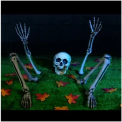 Other Graveyard Skeleton Bones