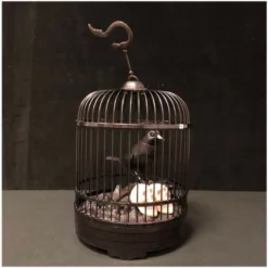 Other Animated Raven In Cage