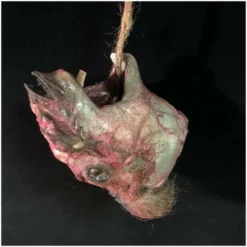 Other Skinned Animal Head Prop