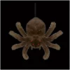 Other Hanging Brown Shaking Spider