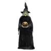 Tekky Toys 7ft Ghost Witch Animated Prop
