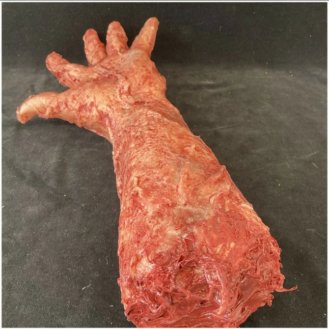 Other Silicone Burnt Arm - Image 2