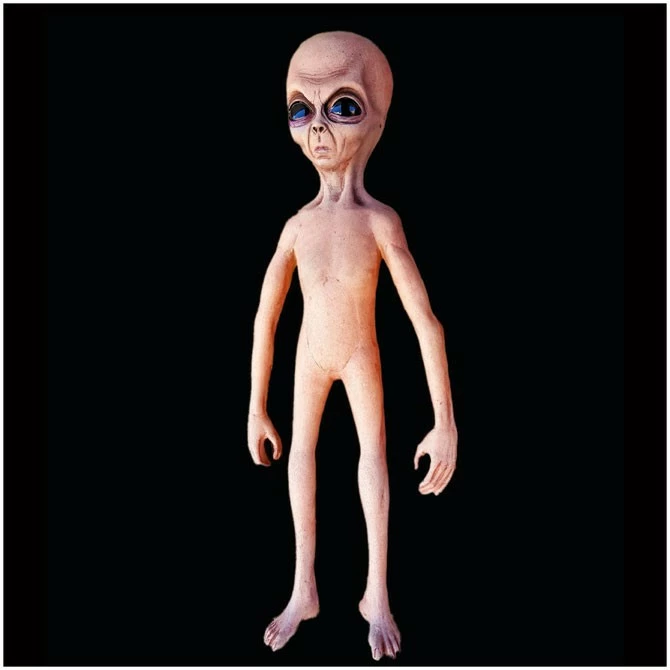 Distortions Unlimited Alien Prop 4.5ft - Image 3