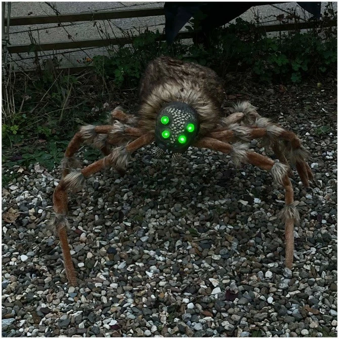 Other Giant Light Up Wolf Spider - Image 2