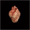 Other Squirting Silicone Heart