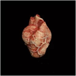 Other Squirting Silicone Heart