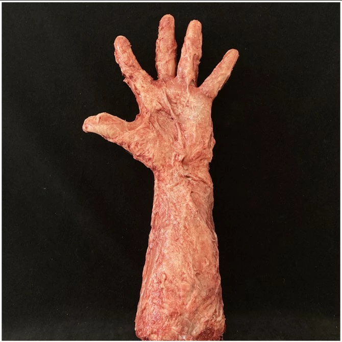 Other Silicone Burnt Arm - Image 4