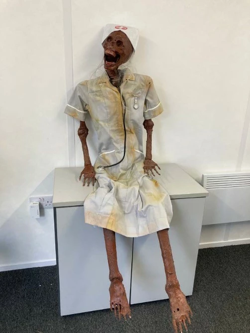 Other Corpsed Life Size Skeleton Nurse - Image 2