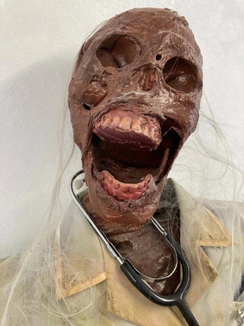 Other Corpsed Life Size Skeleton Nurse - Image 5