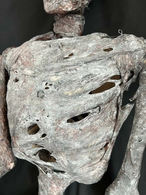 Other Corpsed Life Size Skeleton - Image 2