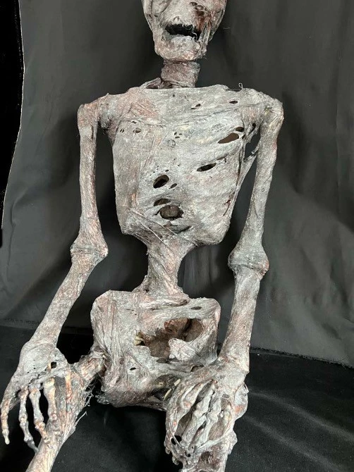 Other Corpsed Life Size Skeleton - Image 4