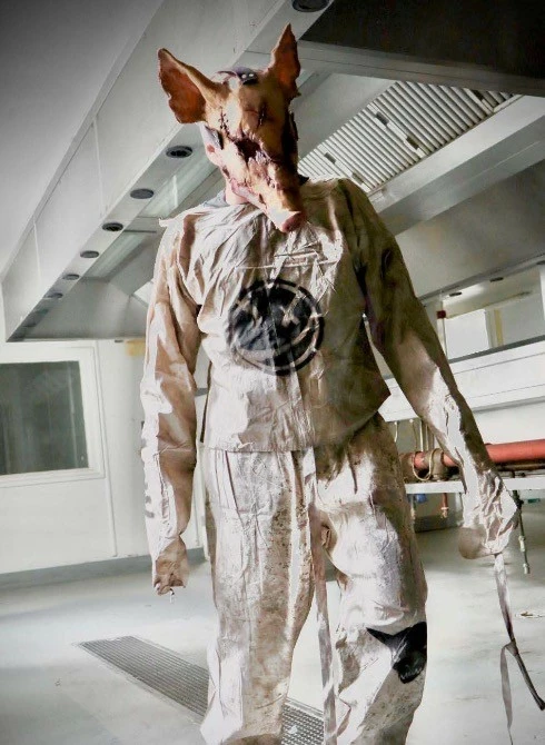 Mad About Horror Straight Jacket & Trousers - Image 6