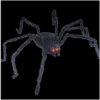 Other Animated Spider
