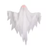 Other Animated Ghost With Light Up Eyes