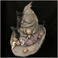 Other Deluxe Witches Hat