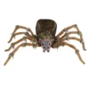 Other Giant Light Up Wolf Spider