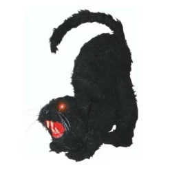 Other Black Cat With Light & Sound