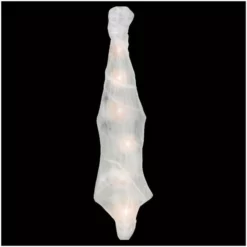 Other Skeleton In Spider Cocoon