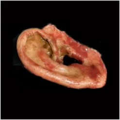 Mad About Horror Silicone Severed Ear
