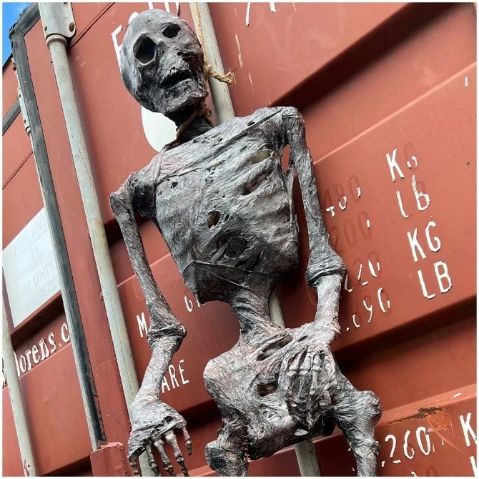 Other Corpsed Life Size Skeleton - Image 5