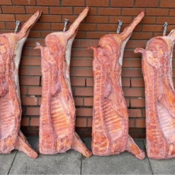 Other Life Size Pig Carcass