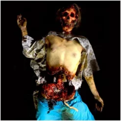 Other Life Size Body Decomposition