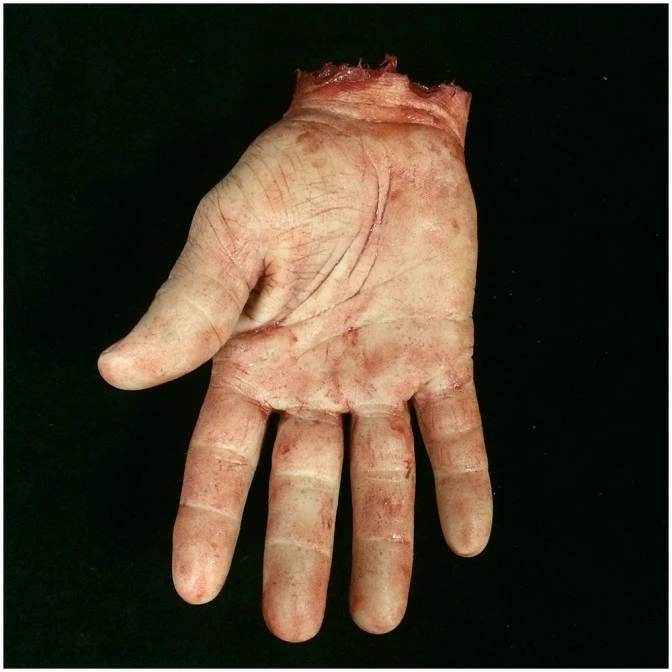 Mad About Horror Silicone Severed Hand With Pengatram - Image 2