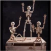 Other Posable Mini Skeleton 35cm