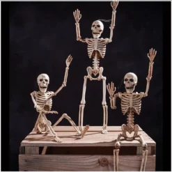 Other Posable Mini Skeleton 35cm