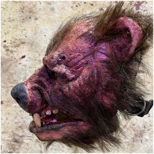 Pumpkin Pulp Teddy Mask - Image 4