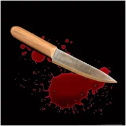 Other Professional Bleeding Knife Prop