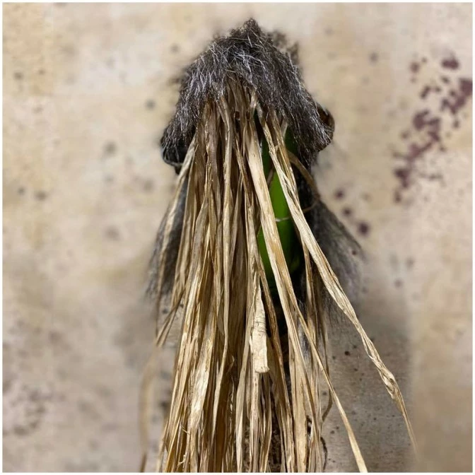 Pumpkin Pulp Baboon Swamp Stick - Image 8