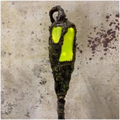 Pumpkin Pulp Vines Swamp Stick