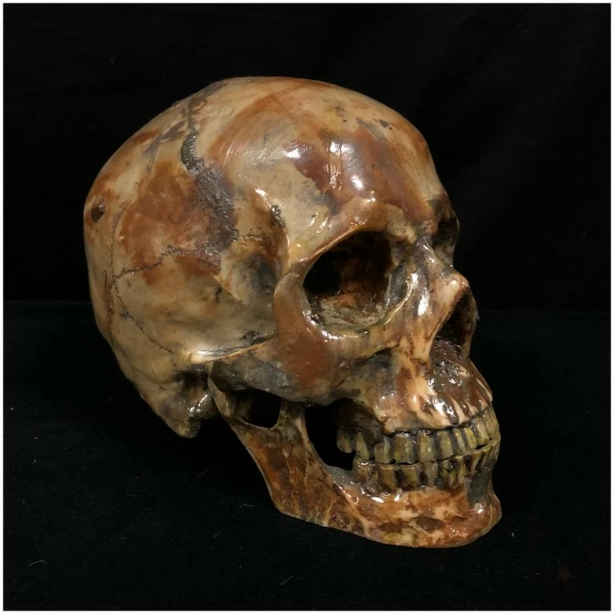 Other Deluxe Resin Skull - Image 2