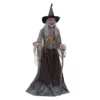 Other Witch Servo Motor Animated Prop (NEW 2023)