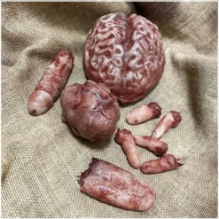 Other Silicone Body Parts BUNDLE