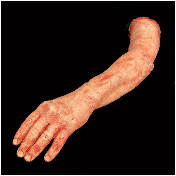 Other Silicone Severed Full Arm - Image 2