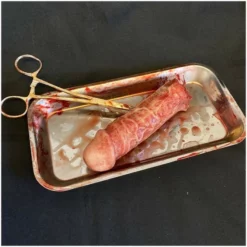 Other Surgical Tray With Silicone Severed Penis