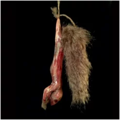 Mad About Horror Skinned Squirrel