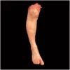 Other Silicone Severed Full Male Leg