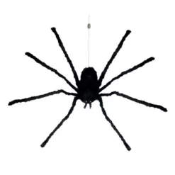 Other Dropping Giant Spider