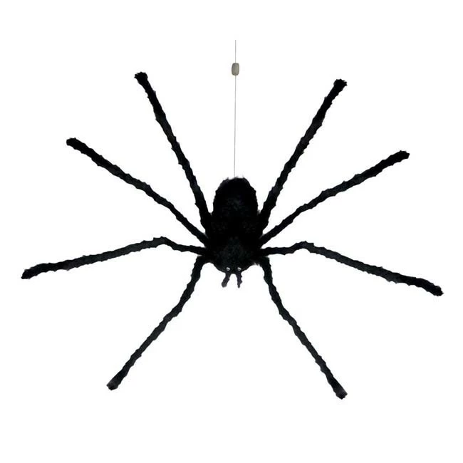 Other Dropping Giant Spider