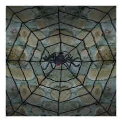 Other Giant Spider Web With Spider