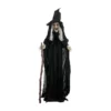 Other Witch With Cane Animated Prop