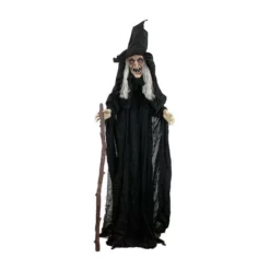 Other Witch With Cane Animated Prop