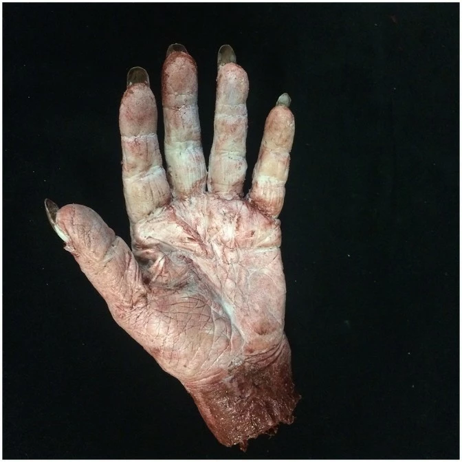 Mad About Horror Silicone Severed Witch Hand (One) - Image 5
