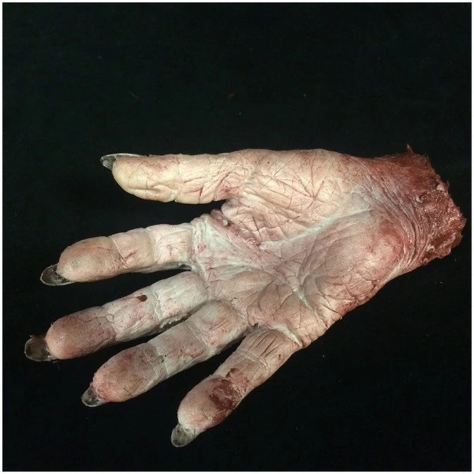 Mad About Horror Silicone Severed Witch Hand (One) - Image 6
