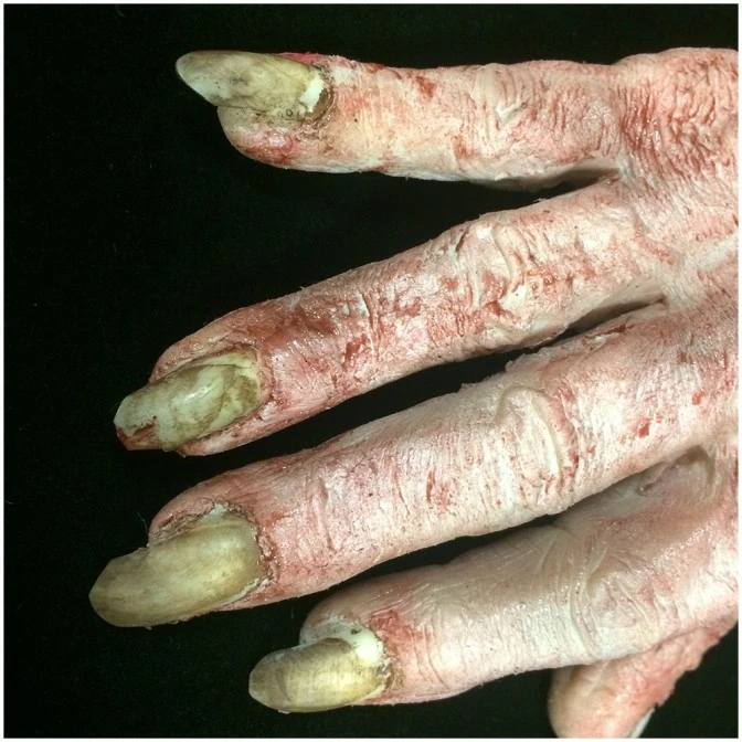 Mad About Horror Silicone Severed Witch Hand (One) - Image 3